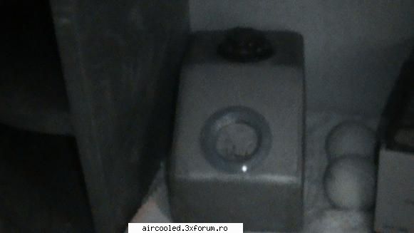 Aparatele mele Vechi - ceva ce habar n-am ce e - broscar in timpul liber