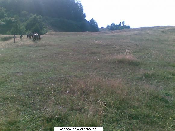 BBM2010, organizare - am reusit sa fac azi poze noi. am identificat 3 - CALATORII si INTALNIRI