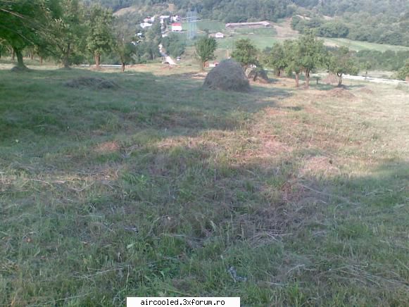 BBM2010, organizare - si locul 3 din poaina cu pruni - CALATORII si INTALNIRI