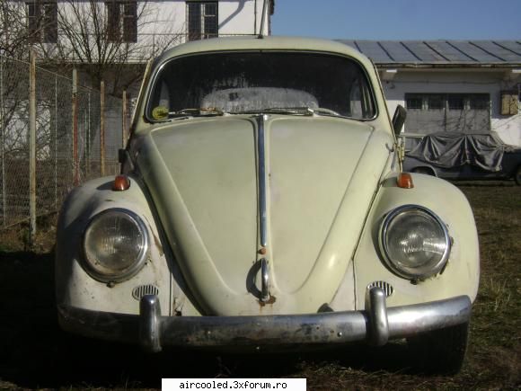 Broasca mea...Volkswagen 1200 '60 - Va salut cu stima, Ma numesc Andras - Masina mea - Tip1 & Tip3