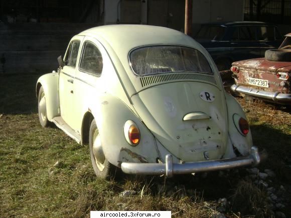 Broasca mea...Volkswagen 1200 '60 - Masina are tabla destul de buna,inca e solida - Masina mea - Tip1 & Tip3