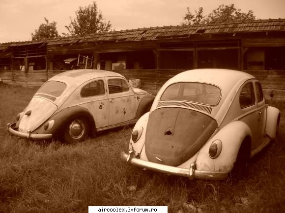 Broasca mea...Volkswagen 1200 '60 - si inca o broscuta in lac :D - Masina mea - Tip1 & Tip3