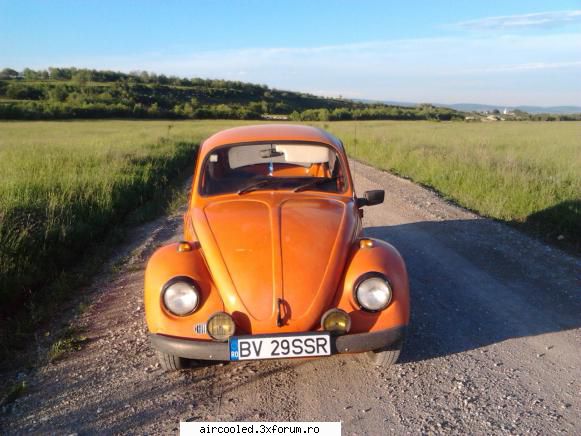 a iesit din garaj. broscuta