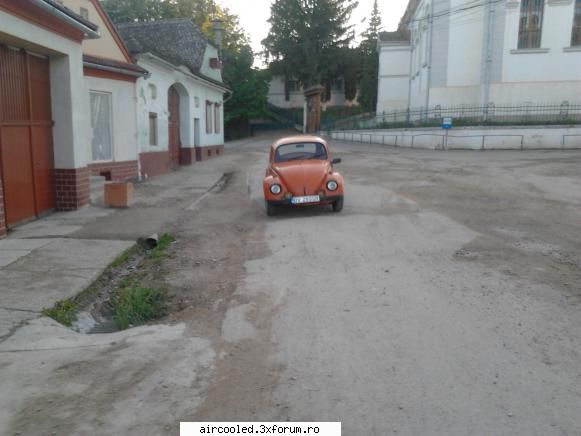 din pacate nu prea am avut  timp de plimbat, poate de luna viitoare. broscuta