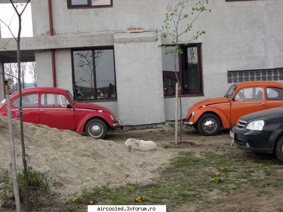 BumBum Vw - RaduI - Masina mea - Tip1 & Tip3