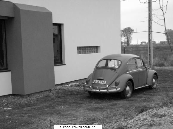 BumBum Vw - hai si una mai vesela dupa atatea triste - Masina mea - Tip1 & Tip3