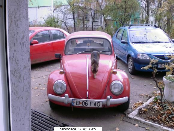 BumBum Vw - 2 zile am lasat-o acasa si a ajuns suport de - Masina mea - Tip1 & Tip3