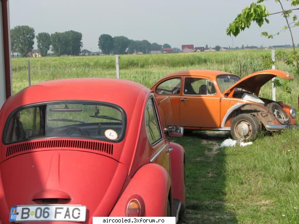BumBum Vw - o mica intalnire broscareasca, ieri, urmata de o - Masina mea - Tip1 & Tip3