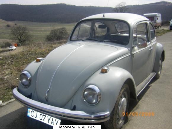 Cumpar broscuta - gusake - Cumparari- auto