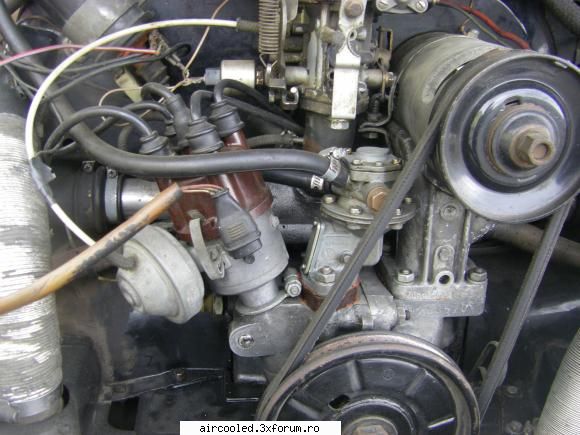 Cumpar broscuta - gusake - Cumparari- auto