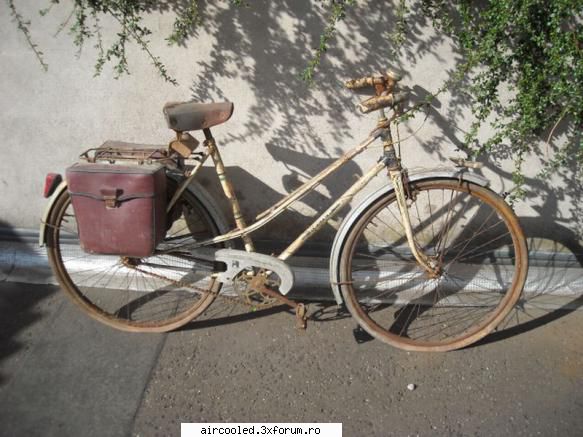 azi am adunat dintr-o casa abandonata o bicicleta. d'ale lui mishu