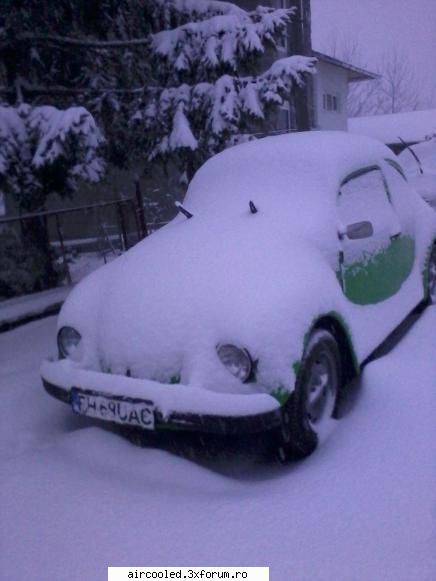 mai sunt shase luni si vine 
:iarnaaa! d'ale lui mishu