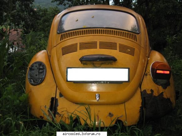 Dezmembrez broscuta 1303 - bog - Vanzari- piese