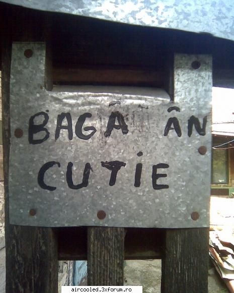 FUN - nTelectualu - broscar in timpul liber