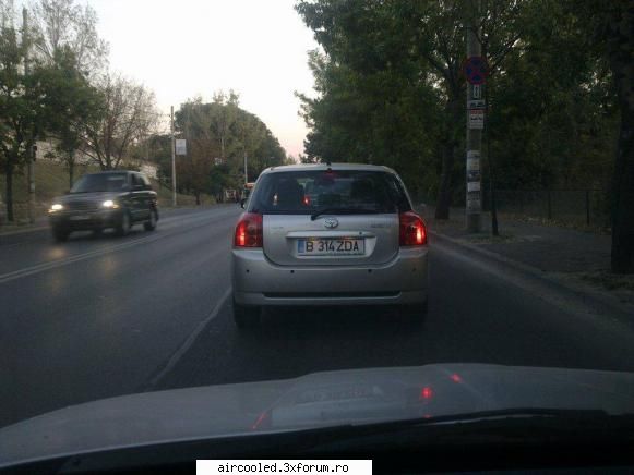 FUN - angelinno - broscar in timpul liber