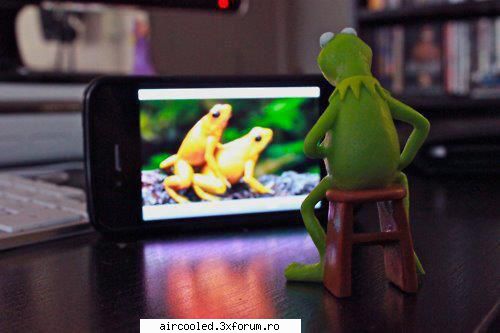 FUN - film ptr. adulti - broscar in timpul liber