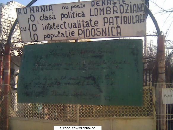 FUN - nTelectualu - broscar in timpul liber
