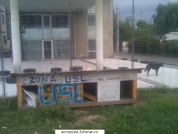 FUN - on topic- uite ce cred c'a vazut bombonel de i-a - broscar in timpul liber