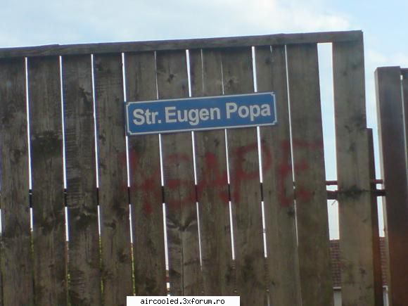 FUN - sergiup - broscar in timpul liber