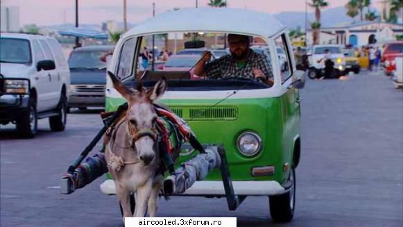 FUN - RaduI - broscar in timpul liber