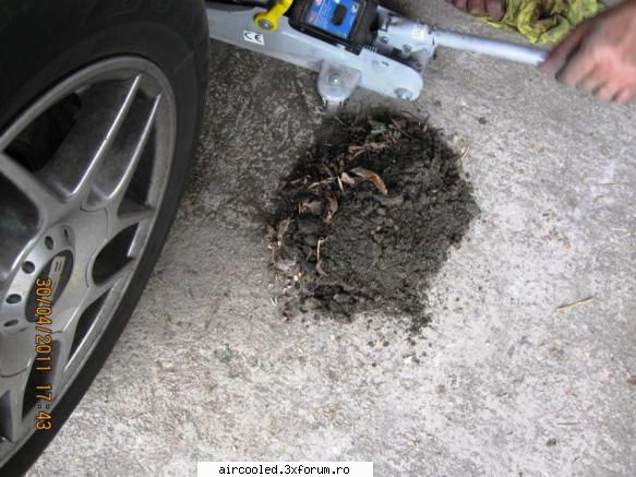 Golf4 - dupa 9 ani am desfacut contraaripile fata: stinga - Diverse mestereli Auto (non-aircooled)