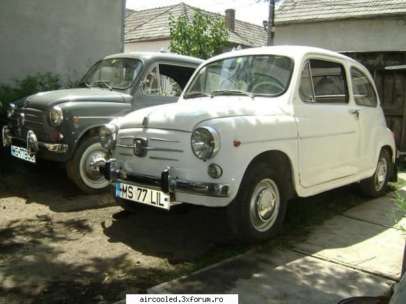 Herghelia mea... - si surorile...'64 si '65 - broscar in timpul liber