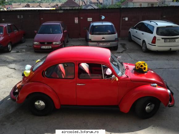 Kafer - IONUT05 - Vanzari- auto