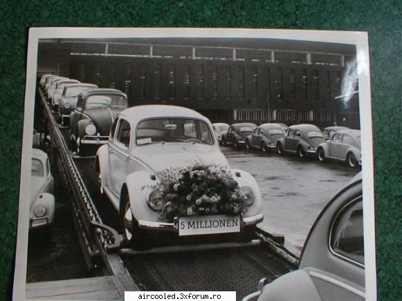 Literatura VW, Porsche - Ar mai fi ,dar ma asteapta ...munca - broscar in timpul liber