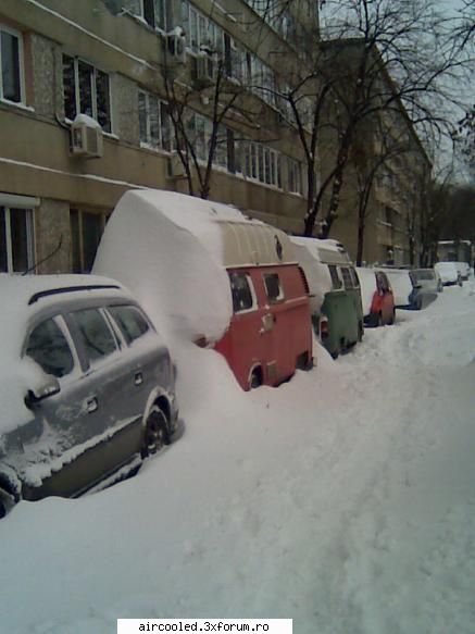Ningeeeee! - nTelectualu - broscar in timpul liber