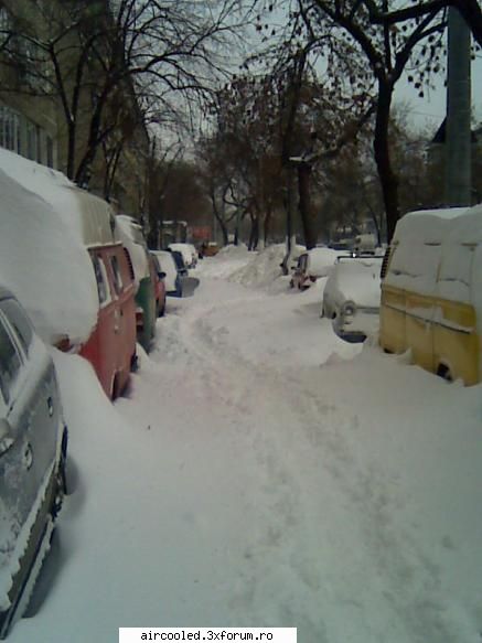 Ningeeeee! - nTelectualu - broscar in timpul liber