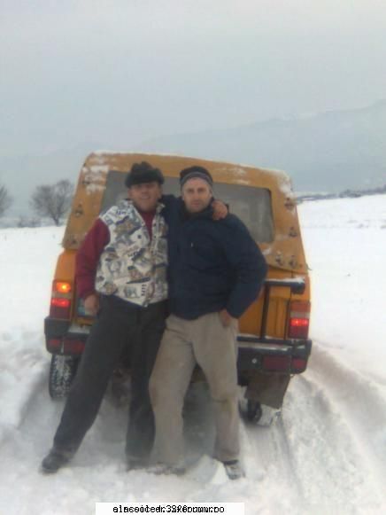 Piese vw typ 3 - RaduI - Vanzari- piese