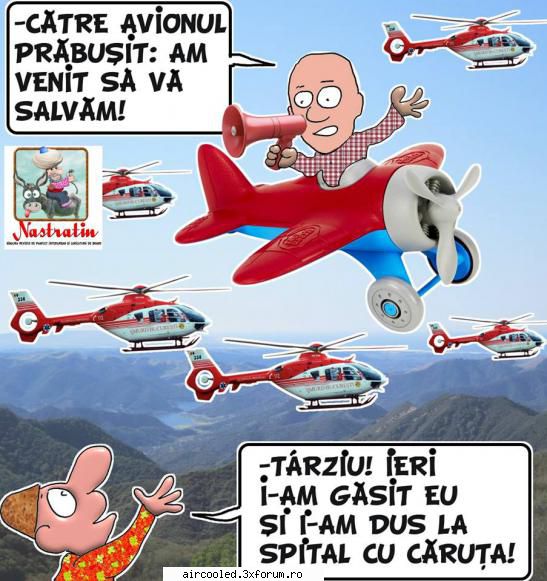 Poiana lu'Iocan - MishuL - broscar in timpul liber