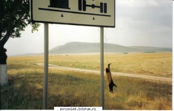 Poze, sa ne uitam la poze - La pies de la rezistance. La dreapta e Tulcea, la - broscar in timpul liber