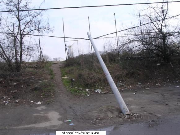 Poze, sa ne uitam la poze - un stalp umpic obosit - broscar in timpul liber