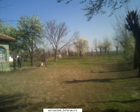 on topic  :hi: 
fusai azi la imobil. 
 maaare bre, cat un teren de pomi :hi: zona pentru legume..