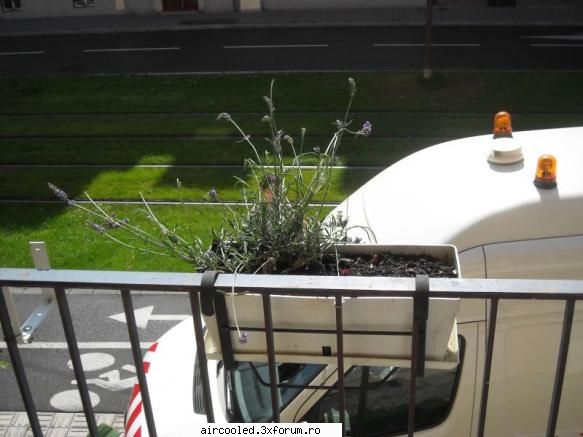 Raul railor - MishuL - Masina mea-Tip2: Bus, Camper