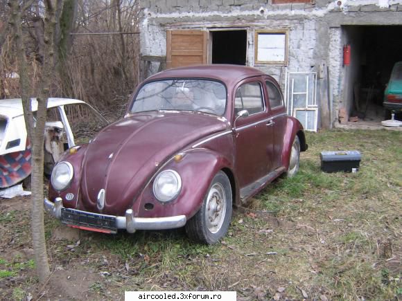 Se vinde proiect restaurare vw - Vand o broasca este aproape completa(lipsa canale - Vanzari- auto