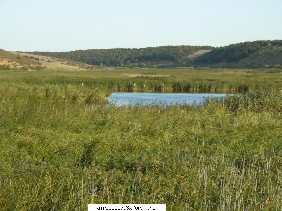 Tineri, cunoasteti-va patria! - Padurea era in plan secund - CALATORII si INTALNIRI