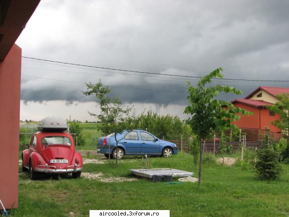 Viata la tara - RaduI - broscar in timpul liber