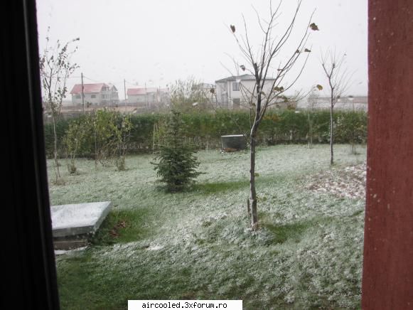 ninge ... viata la tara