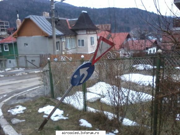 Viata la tara - Livache,mai bine cara-te de fiecare data cu - broscar in timpul liber