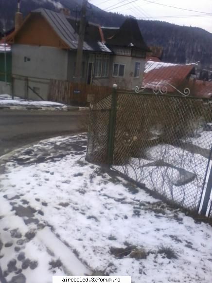 Viata la tara - si tzeava chiar m-ar fi coafat - broscar in timpul liber