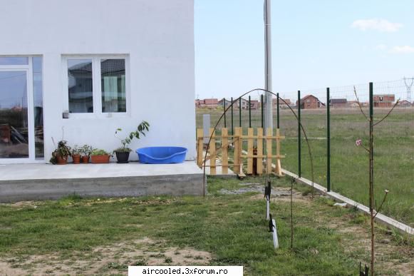 Viata la tara - TZepeSH - broscar in timpul liber