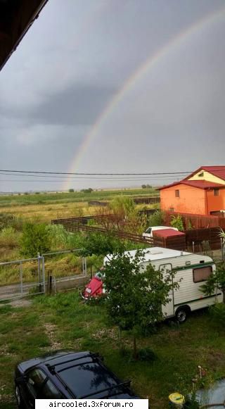 Viata la tara - ieri, dupa furtuna - broscar in timpul liber