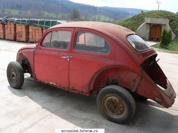 cumpar sasiu si carapce - gusake - Cumparari- auto
