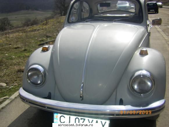 vand broscuta - gusake - Vanzari- auto