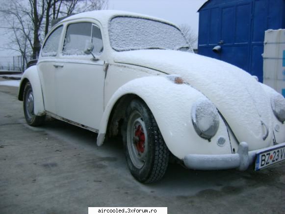 b vand vw 1200 1965