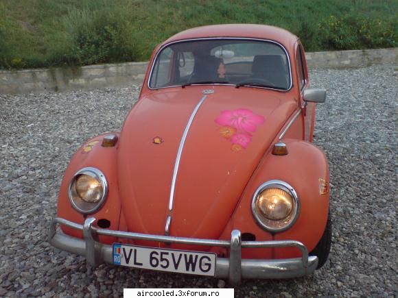 vw 1300 din 1965 - cu mare parere de rau imi vand masina la pretul - Vanzari- auto